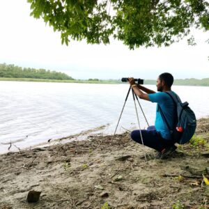 Bird-photography-3