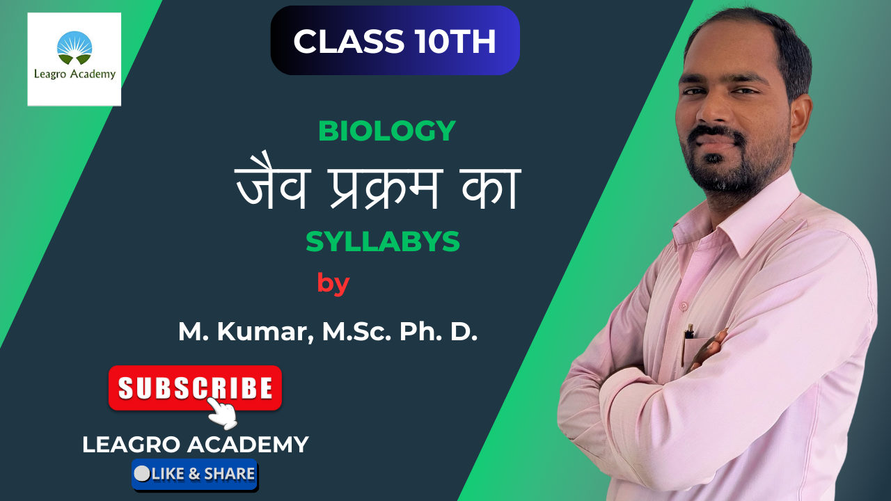 The Road to Business Mastery (1)