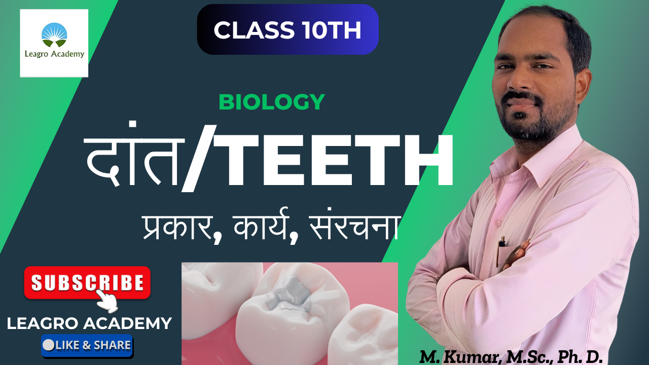 The Road to Business Mastery (4)