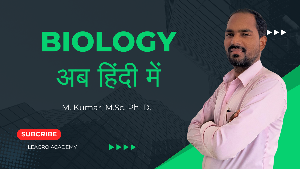 The Road to Business Mastery